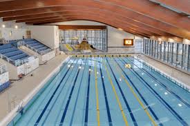 Image result for Crawley Swimming Club