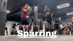 Image result for London Thai Boxing Club