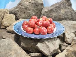 Afbeeldingsresultaat voor brandywine cherry tomato