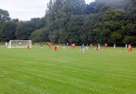 Image result for Horwich St Marys Junior F C