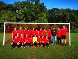 Image result for CAVERSHAM AFC