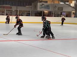 Image result for Vipers Roller Hockey Team