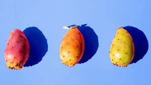 Attēlu rezultāti vaicājumam “Barbarea vulgaris subsp. arcuata fruit”