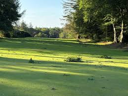Image result for Hazlehead Golf Club