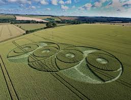 Image result for crop circles