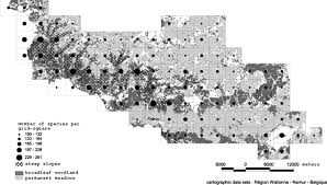 Attēlu rezultāti vaicājumam “Cladopodiella francisci”