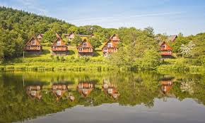 Image result for Gatehouse Of Fleet Bowling Club