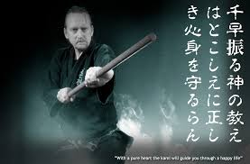 Image result for Bujinkan Dojo Seijitsu