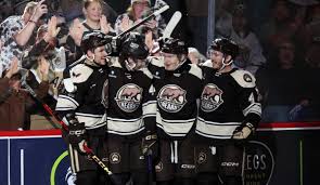 Image result for Hersham Hockey Club