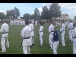 Image result for Barking Abbey Ishinryu