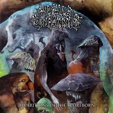 Attēlu rezultāti vaicājumam “Diderma montanum var. album spores”