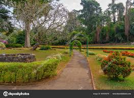 Image result for шри ланка королевский ботанический сад