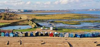 Image result for New Forest/Waterside