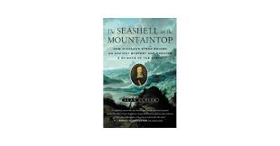 Image result for mountain top seashell