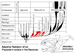 Attēlu rezultāti vaicājumam “Placodermi”