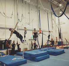 Image result for South Essex Gymnastics Club