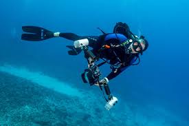 Image result for Seabug Divers