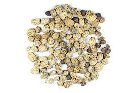 Attēlu rezultāti vaicājumam “Tropaeolum majus fruit”