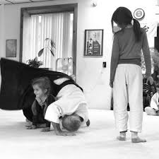 Image result for White Oak Aikido Whitton