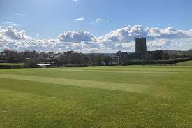 Image result for Chulmleigh & Mid Devon Cricket Club