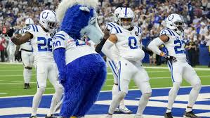 Image result for Hambro Colts Y F C