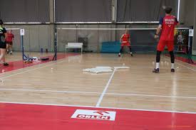 Image result for Holyrood Polska Badminton Club