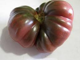 Afbeeldingsresultaat voor purple calabash tomato