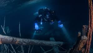 Image result for innerspace divers
