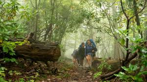 Image result for Uwe Mountain & Hillwalking Club