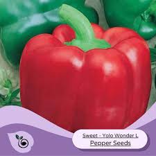 Afbeeldingsresultaat voor yolo wonder sweet pepper
