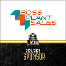 Image result for Mk Lightning