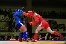 Image result for Combat Sambo