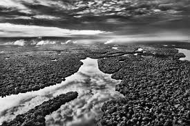 Image result for sebastiao salgado