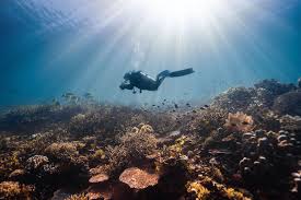 Image result for Three Seas Diving