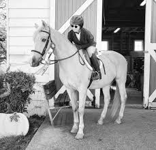 Image result for Shey Copse Riding Centre