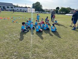 Image result for Lowerhouse Cricket Club