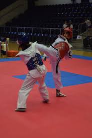 Image result for Red Dragon Taekwondo club