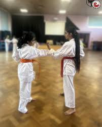 Image result for Tsunami Karate Club
