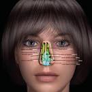 Deviated Nasal Septum Anatomical Rendering | Deviated Nasal Septum