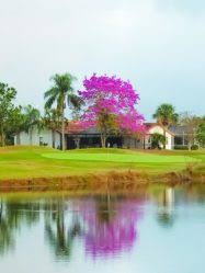 Image result for Summerfields Gc