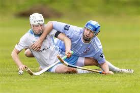 Image result for Skye Camanachd