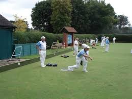 Image result for Mole Valley Indoor Bowling Club