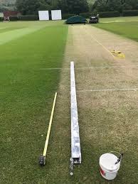 Image result for Pitch marking blog