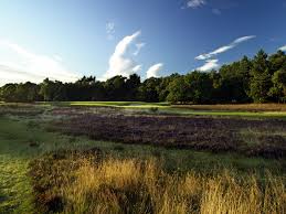 Image result for Alwoodley Golf Club