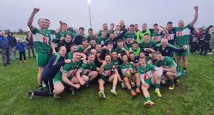 Image result for Wolfe Tones Gaelic Athletic Club