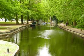 Image result for Basingstoke Sc