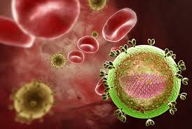 Image result for фотография вируса вич