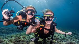 Image result for Manta Divers Sub-Aqua Club