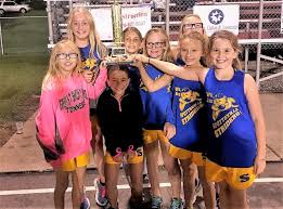 Image result for Shelton Striders