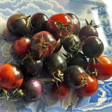 Afbeeldingsresultaat voor black oxheart tomato